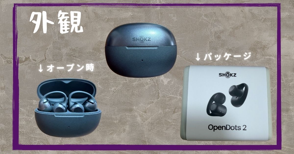 Shokz OpenDots 2の実機写真